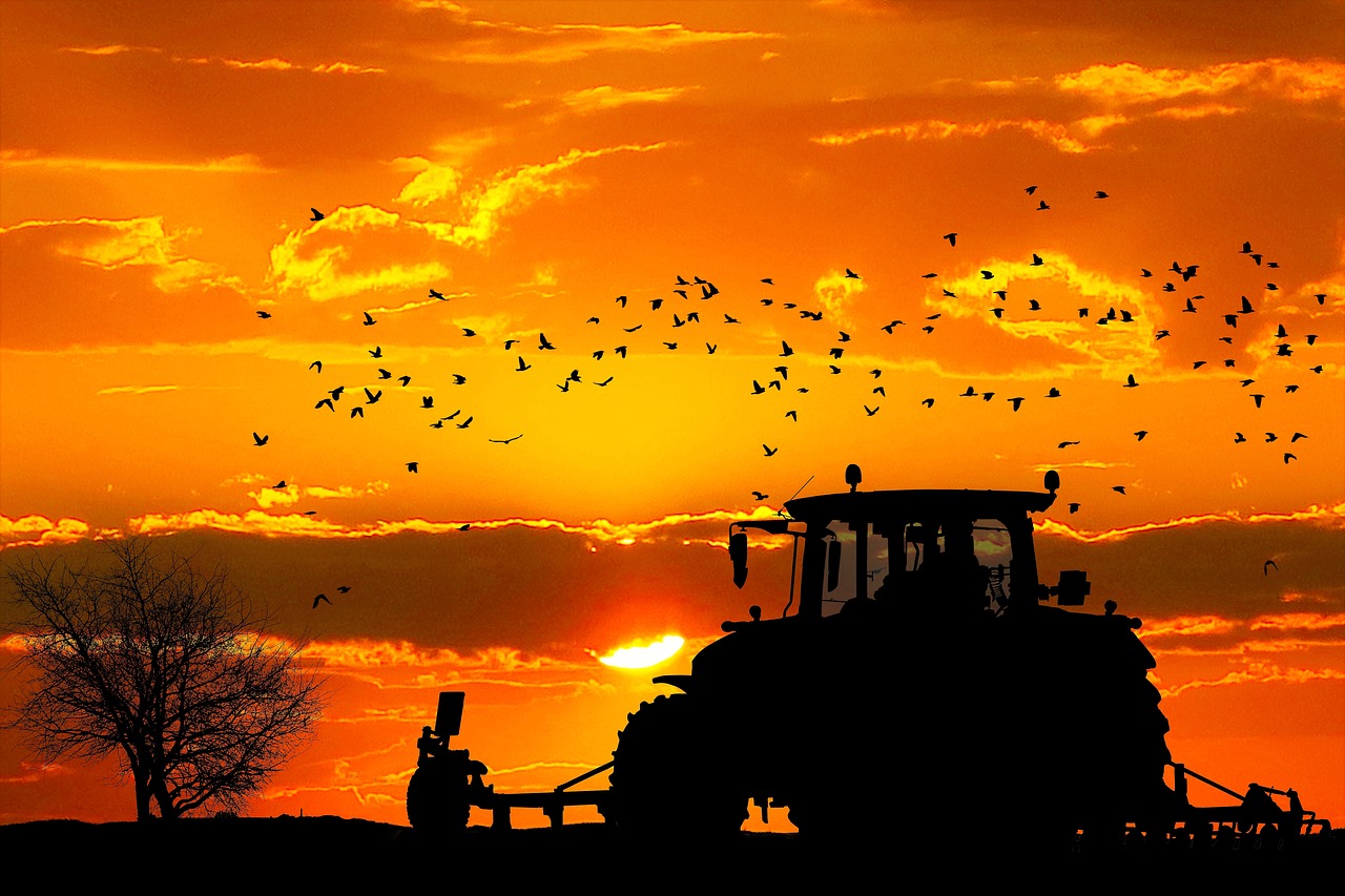 Bienveillance pendant la Période de travaux agricoles
