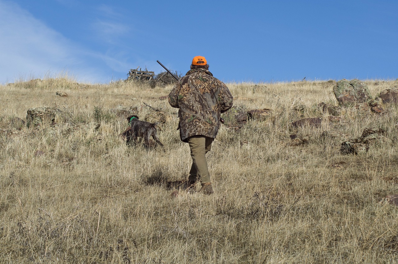 Règlementation de la chasse 2024-2025
