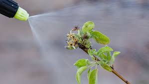 Comment utiliser les produits phytosanitaires