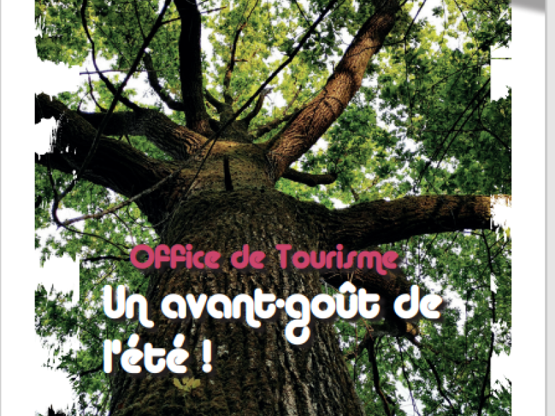 Affiche Printemps -Tourisme 
