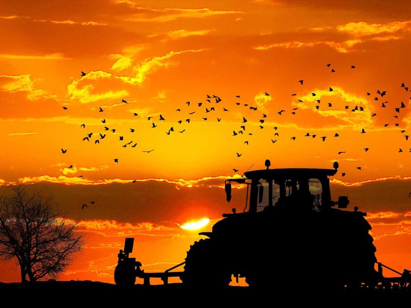 image image d'un tracteur au coucher du soleil