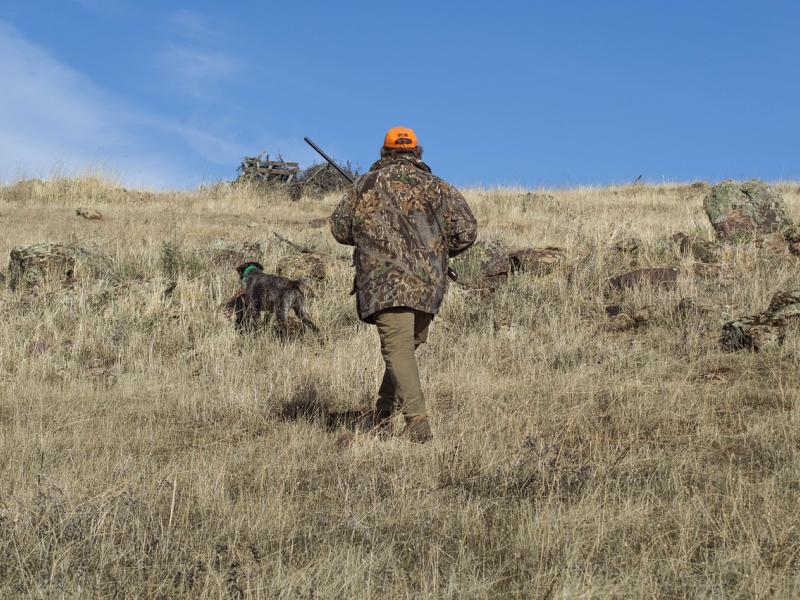Règlementation de la chasse 2024-2025